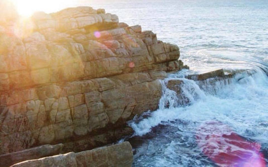 Introducing West Coast Collective